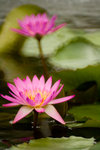 IMG_3985s