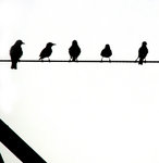 2680729070_004e3e2895