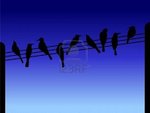 3494877-birds-on-a-wire