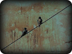 3591218598_4d8a7ef7be_z