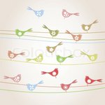 4260628-942928-bird-on-a-wire3