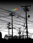 5021833-a-rainbow-of-birds-on-a-wire