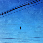 5942548075_b8c5eb6cb2_z