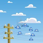7905598-a-flock-of-birds-sitting-on-wires