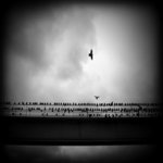 Favim_com-30346