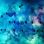 birds-on-a-wire-56-maria-kitano