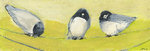 birds-on-a-wire-jennifer-lommers