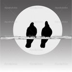 depositphotos_6499891-Birds-on-the-wire