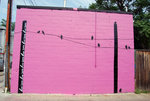 image_birds_on_wire