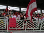 DSCN7887