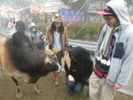 DSCN9019