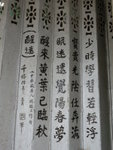 DSCN9062