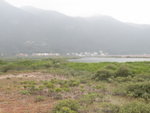 禾田已成乾草地
