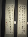IMG_3355