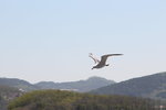 IMG_8050