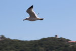 IMG_8053
