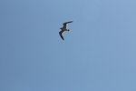 IMG_8083