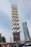 IMG_8455