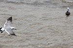 IMG_8480