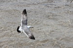 IMG_8481