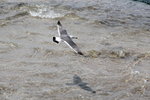 IMG_8486