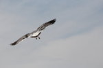 IMG_8507