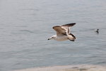 IMG_8508
