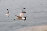 IMG_8509