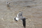 IMG_8510