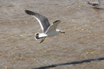 IMG_8511