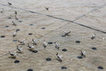 IMG_8523