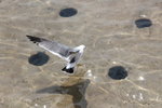 IMG_8538