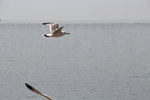 IMG_8541