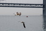 IMG_8543
