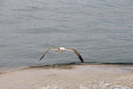 IMG_8549
