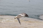 IMG_8551
