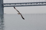 IMG_8553