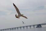 IMG_8572