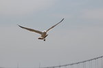 IMG_8574