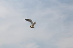 IMG_8576