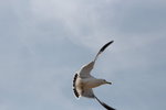 IMG_8577