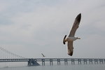 IMG_8584
