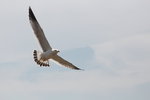 IMG_8585