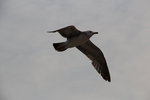 IMG_8803
