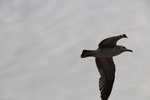IMG_8804