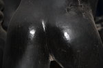 IMG_8816