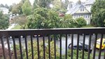 17 Sept 2016 下雨的一天！