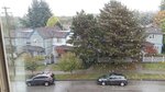 Lake View Care Centre 4樓Den窗外景色