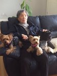 IMG-20160827-WA0025