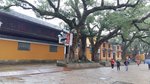 普陀山白華頂的靈鷲峰南麓，浙江省文物保護單位、漢族地區佛教全國重點寺院之一。